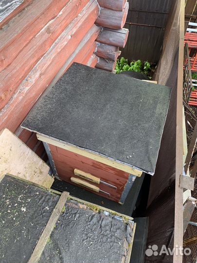 Улей с пчелами б/у