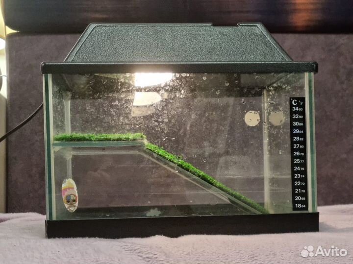 Террариум аквариум для черепах