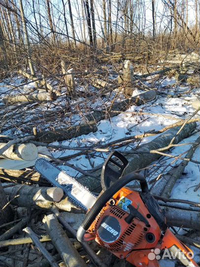 Валка деревьев