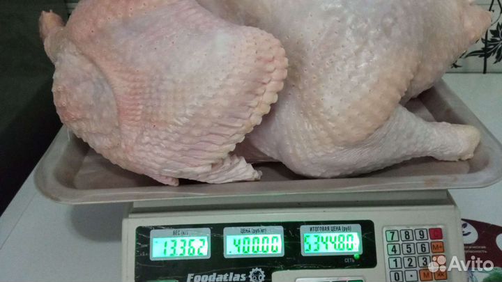 Корнишоны. Мясо бройлера, тушёнка