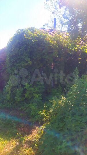 Участок 8 сот. (ИЖС)