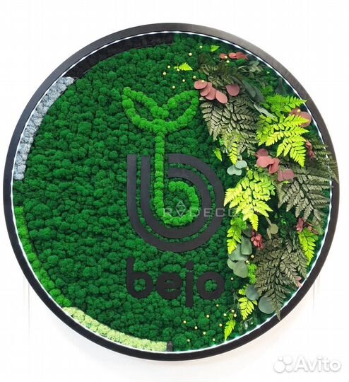 Логотип из мха надписи из мха