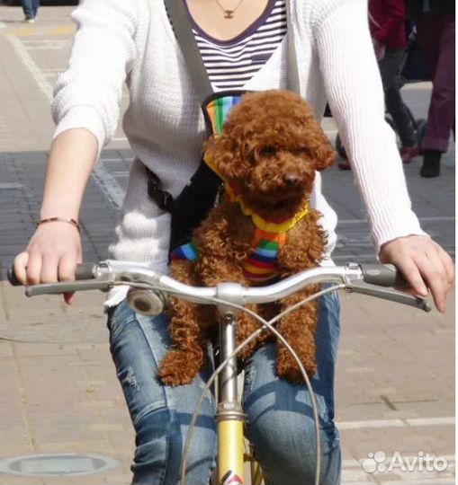 Рюкзак-кенгуру для собаки или кошки