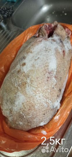 Дикий гусь(замороженный)