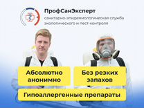 Уничтожение тараканов клопов плесени - дезинфекция