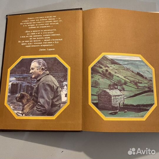 Хэрриот из воспоминаний сельского ветеринара