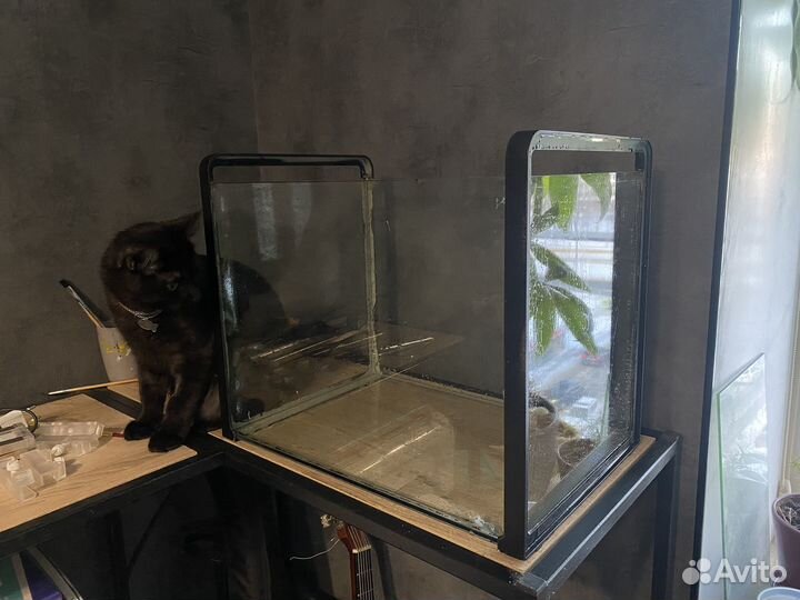 Аквариум и все для него