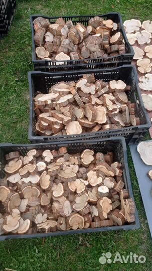 Торцевые спилы дерева, можжевельник