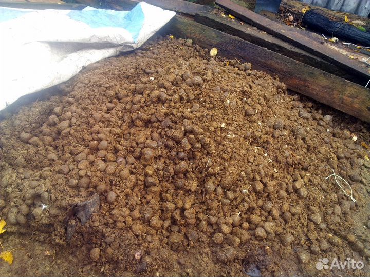 Конский навоз