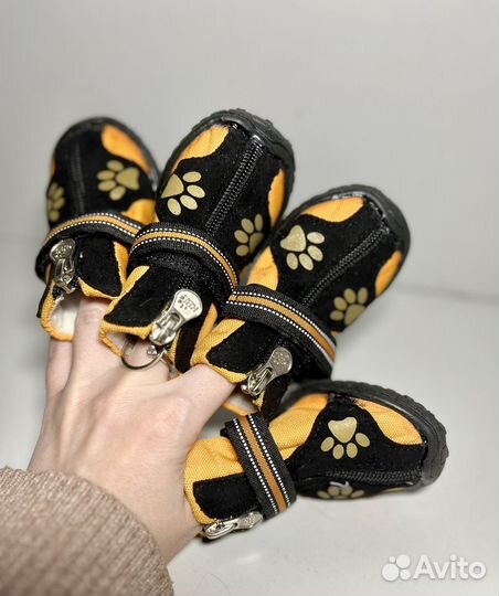 Обувь для собак