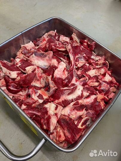 Мясо говядина котлетное 80/20, крупный опт