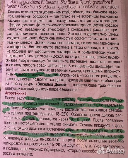 Рассада петунии