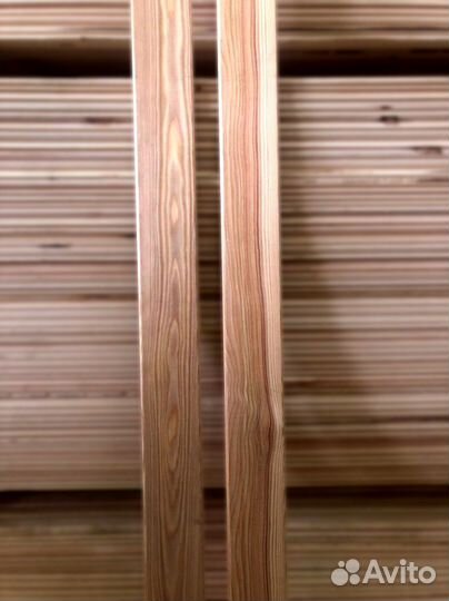 Планкен прямой, отборный сорт