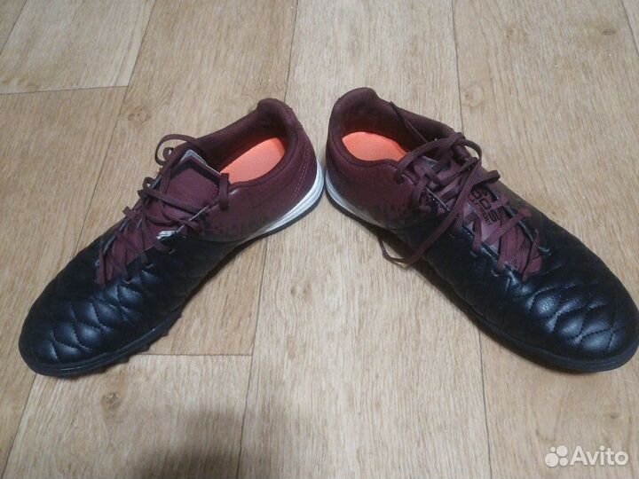 Сороконожки