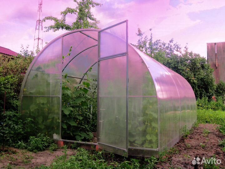 Теплица Теплицы