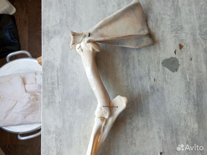 Топор из кости козла