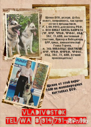 Восточно европейская овчарка