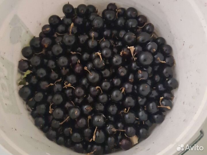 Продаю своё