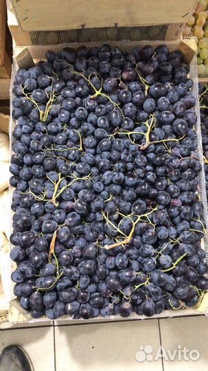 Оптовая продажа фруктов и овощей