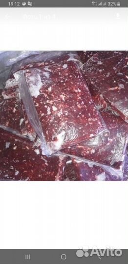 Корм для животных