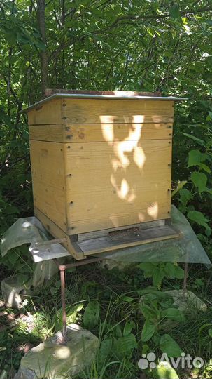 Улей для пчел