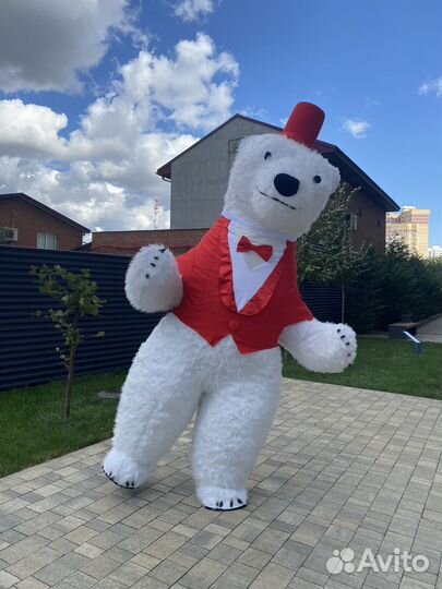 Белый мишка поздравление аниматор