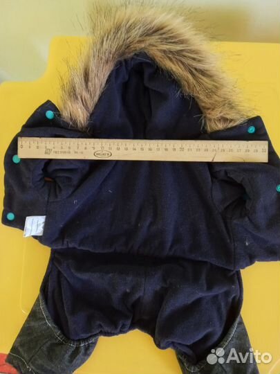 Одежда для собак мелких пород зима