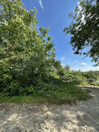 Участок 4,8 сот. (СНТ, ДНП)