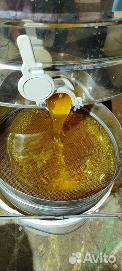 Мёд Донник, Липа, Кипрей, Гречка, Подсолнух 2024