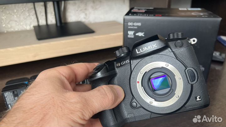 Panasonic lumix gh5