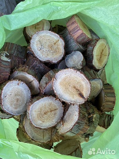 Спил можжевельника