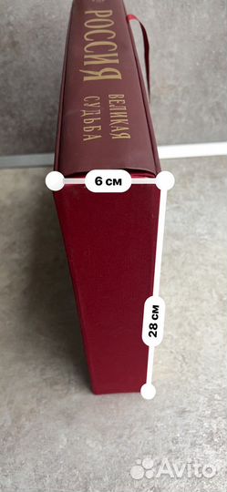 Книга «Россия великая судьба»