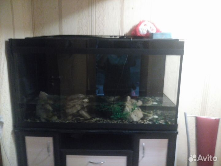 Аквариум 300 литров