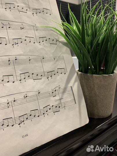 Репетитор по сольфеджио/вокалу/фортепиано