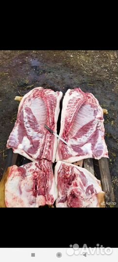 Свинина домашняя