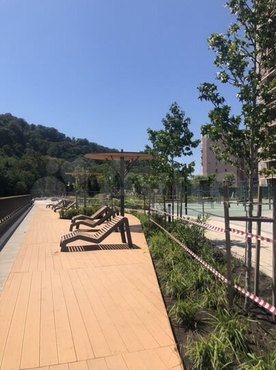 Квартира-студия, 32,5 м², 11/12 эт.