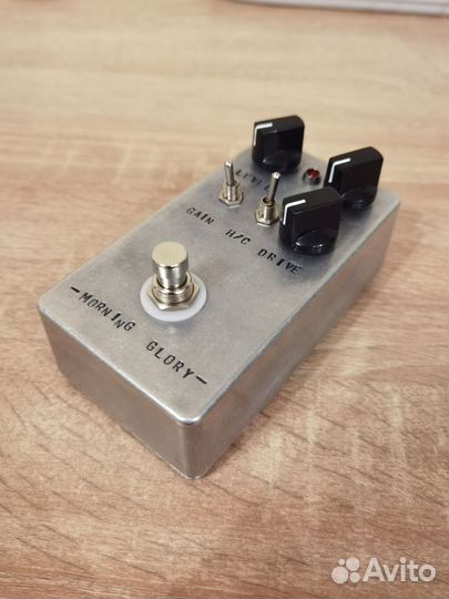 JHS Morning Glory clone