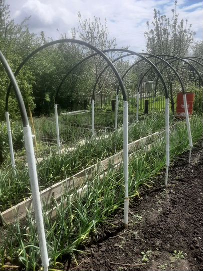 Дача 30 м² на участке 5 сот.