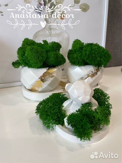 Кашпо со мхом