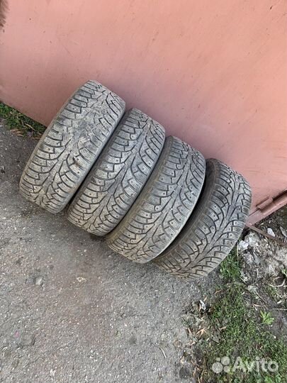 Nokian Tyres Hakkapeliitta 5 195/55 R15