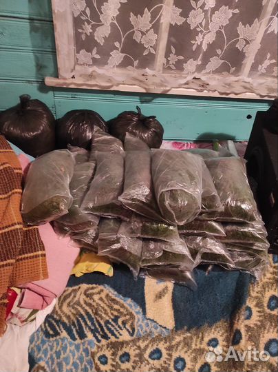 Мох сфагнум 20 литров