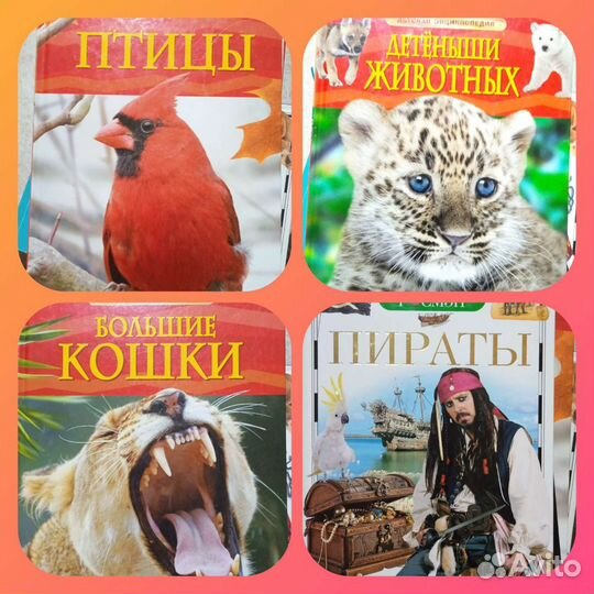 Книги и энциклопедии