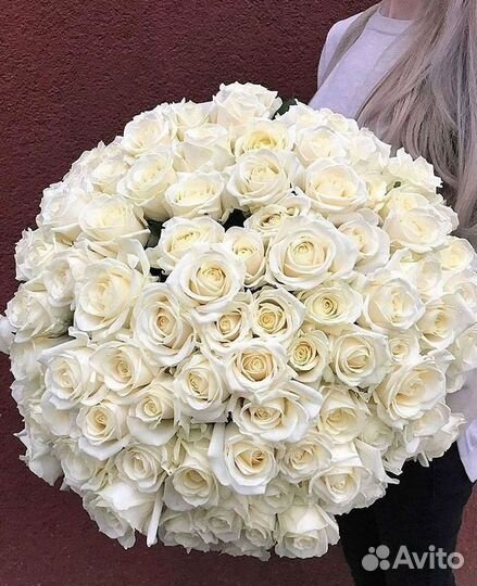 51 Роза, Букеты Цветы Розы 25 101 501 1001