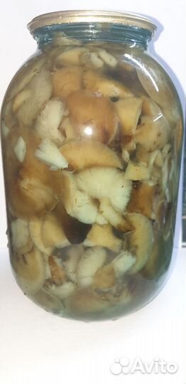 Грибы опята маринованные