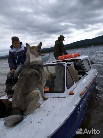 Сарепта лодка