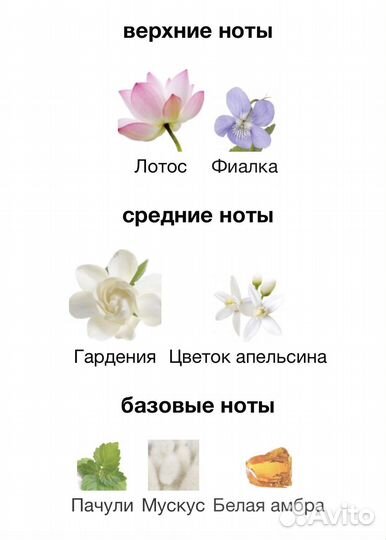 Shiseido парфюм женский 30мл