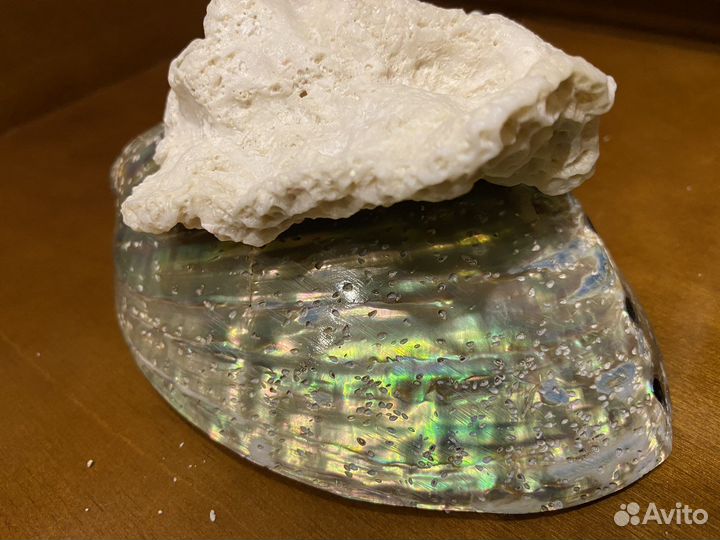 Орешница, мыльница, розетка, вазочка