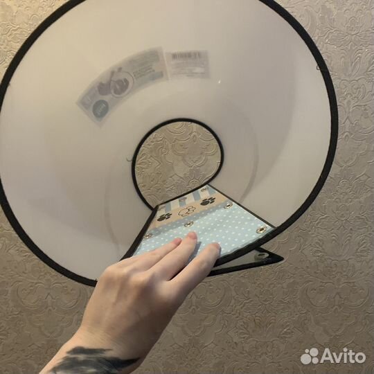 Защитный воротник для собак