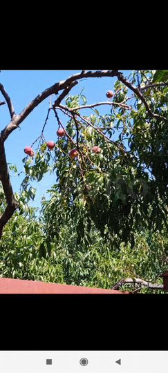 Дом 62 м² на участке 19 сот.