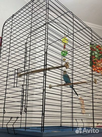 Клетка для грызунов и попугаев